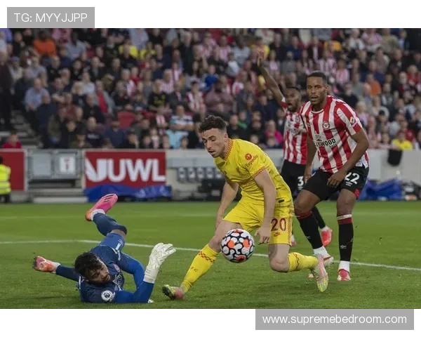 南伦敦老鹰征战英超：新军崛起之路备受期待