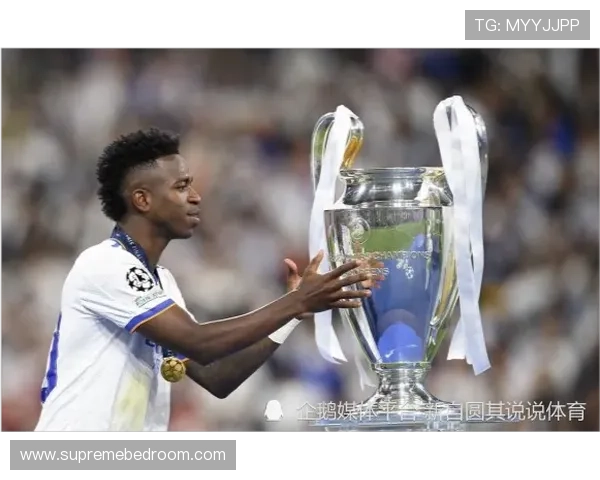 维尼修斯在德转市场的变化 维尼修斯在德转市场的变化